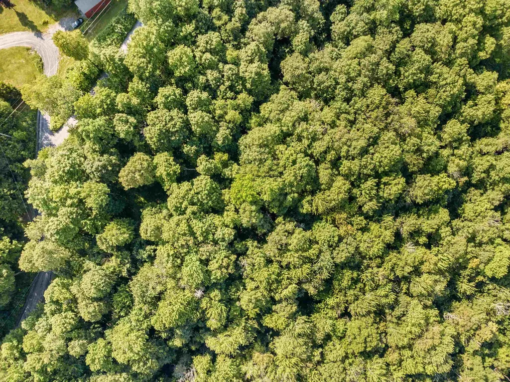 0 Woods Road Northfield VT 05663