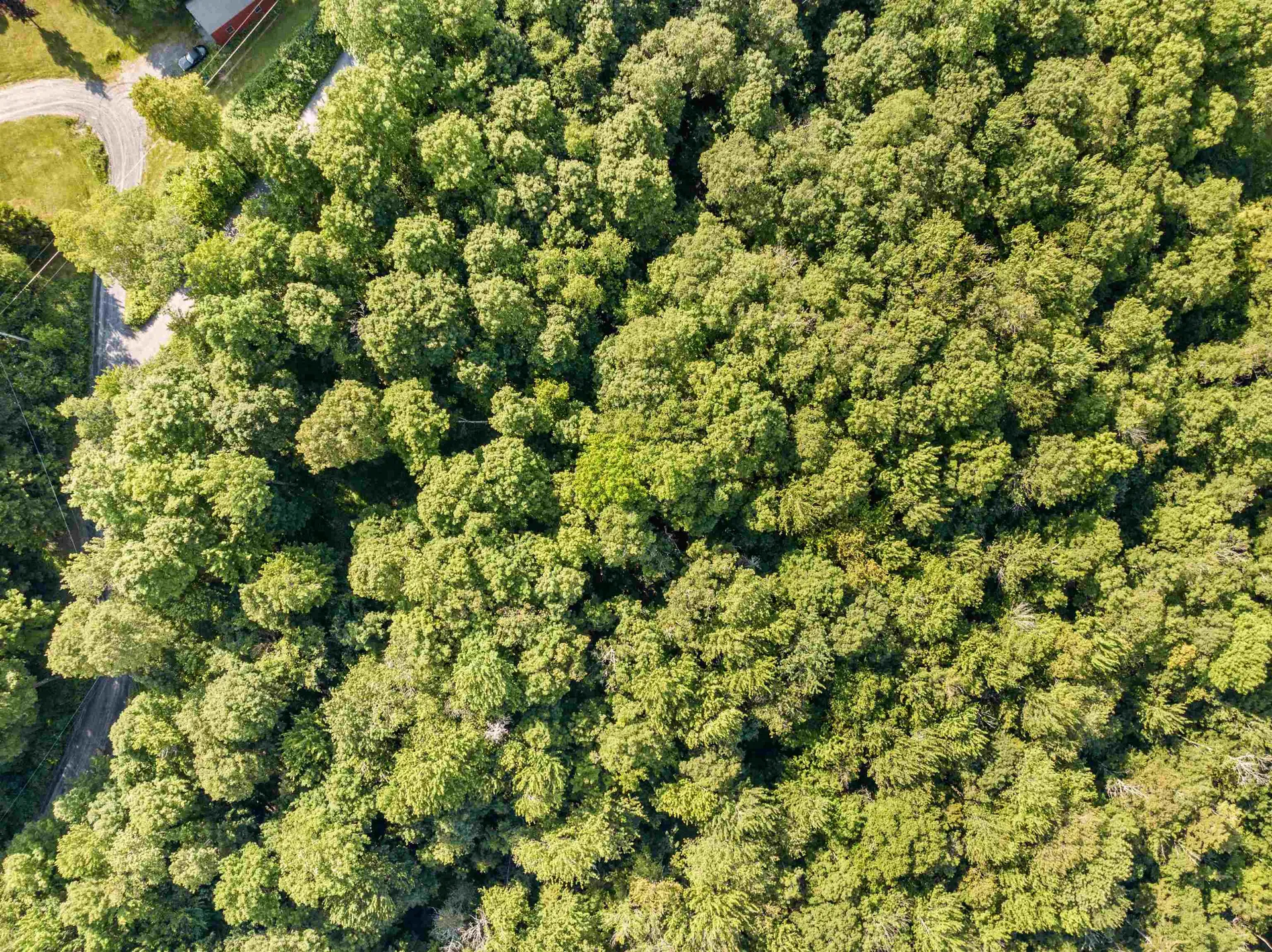 0 Woods Road Northfield VT 05663