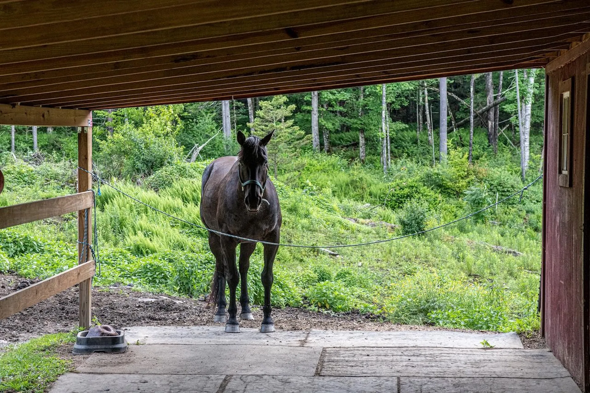 260 Sunset Hill Road Randolph VT 05060