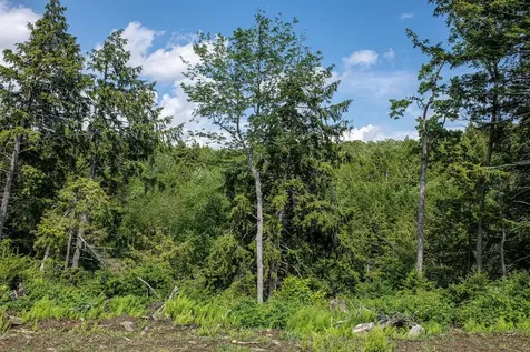 260 Sunset Hill Road Randolph VT 05060