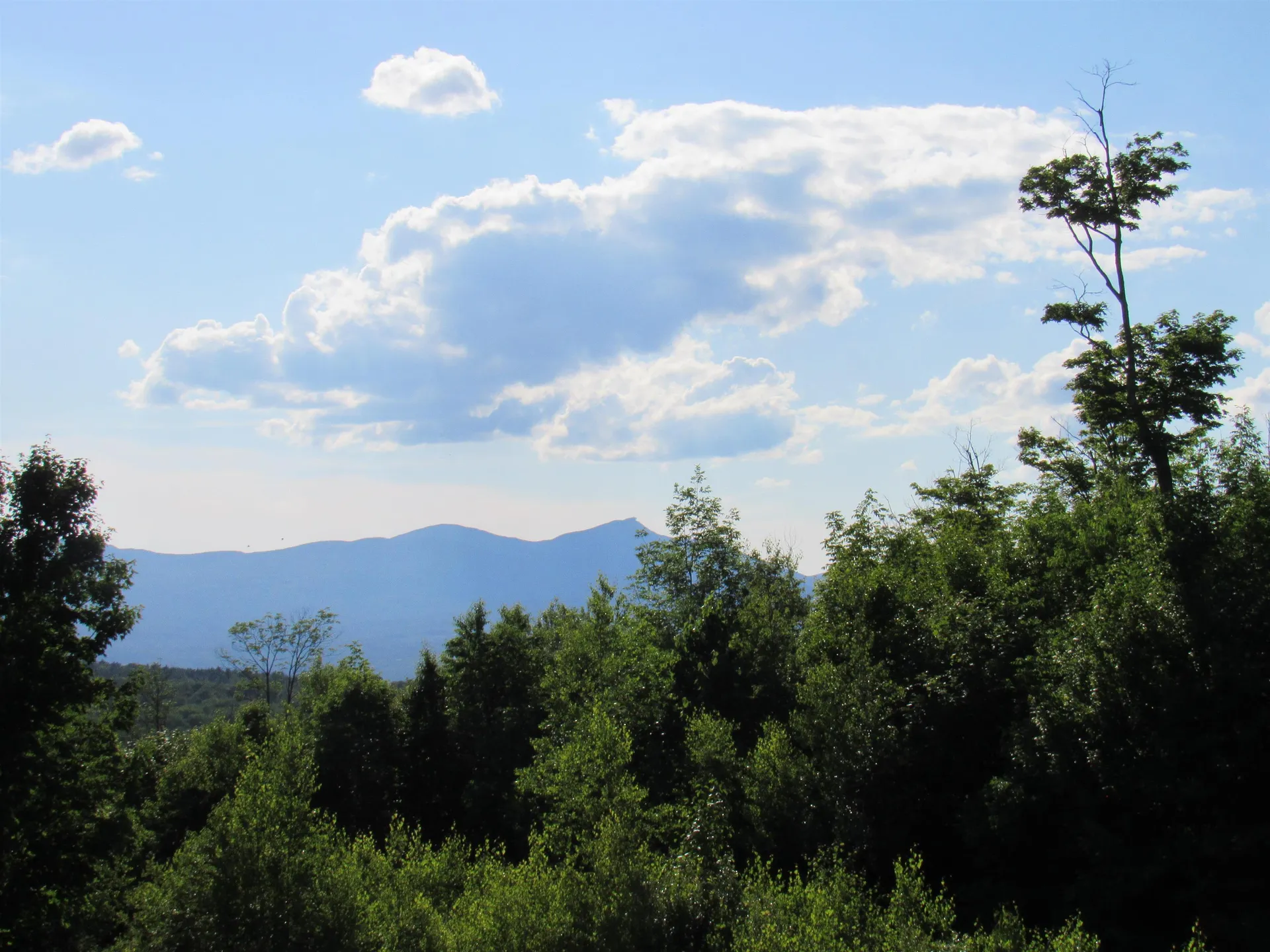 1232 Clark Mountain Road Newport Town VT 05857