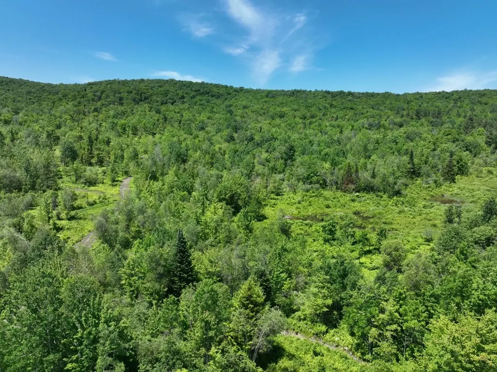 1400 Clark Mountain Road Newport Town VT 05857