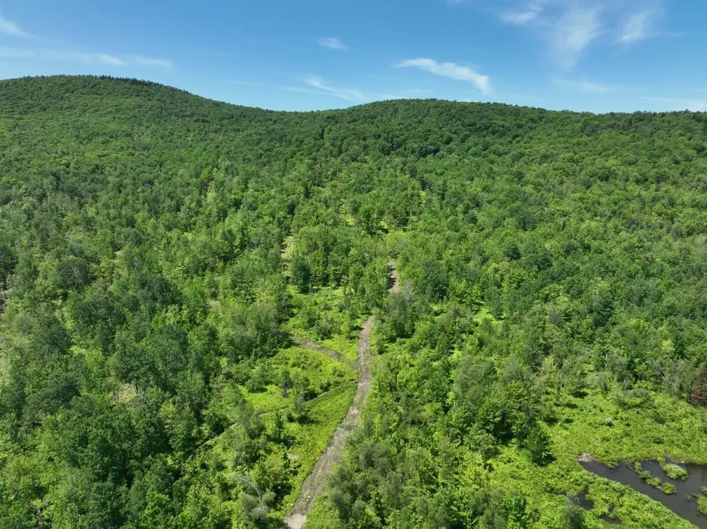 1400 Clark Mountain Road Newport Town VT 05857