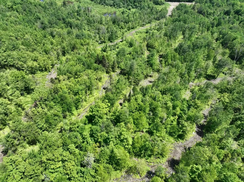 1400 Clark Mountain Road Newport Town VT 05857