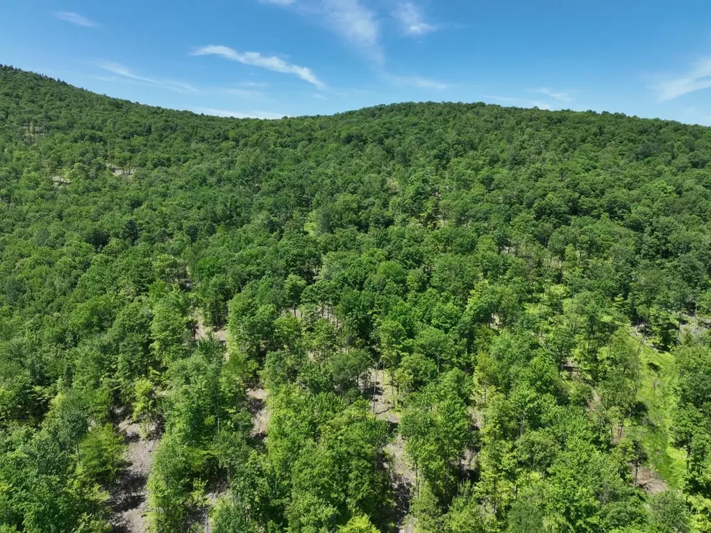 1400 Clark Mountain Road Newport Town VT 05857