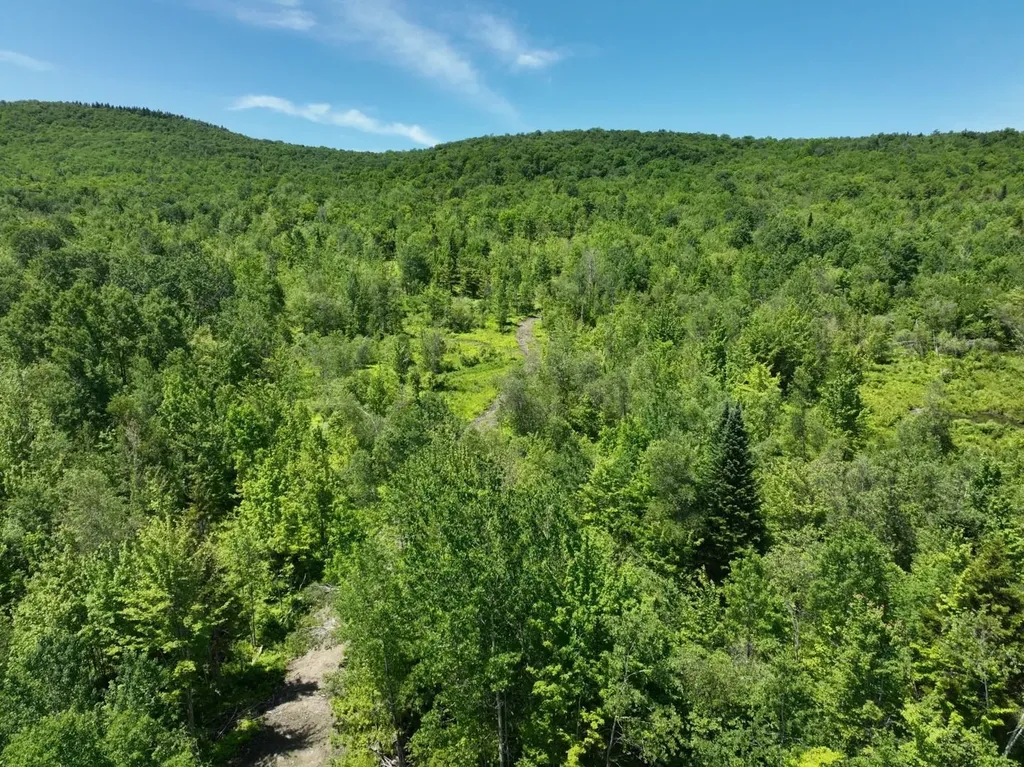 1400 Clark Mountain Road Newport Town VT 05857