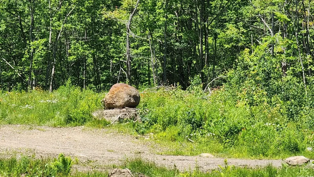 1400 Clark Mountain Road Newport Town VT 05857