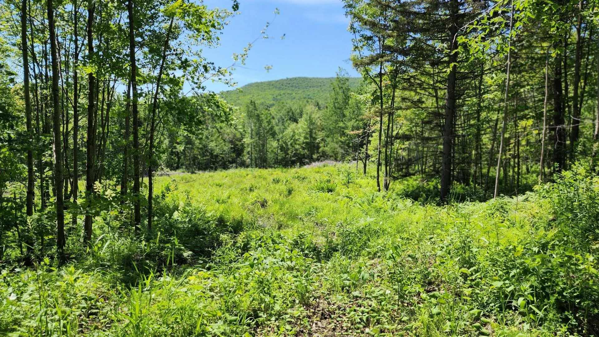 1400 Clark Mountain Road Newport Town VT 05857