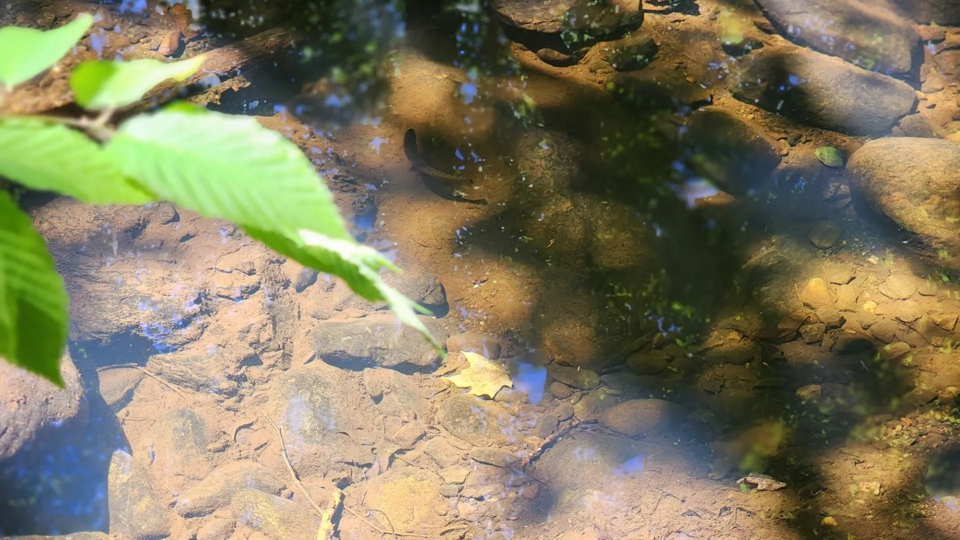 1400 Clark Mountain Road Newport Town VT 05857