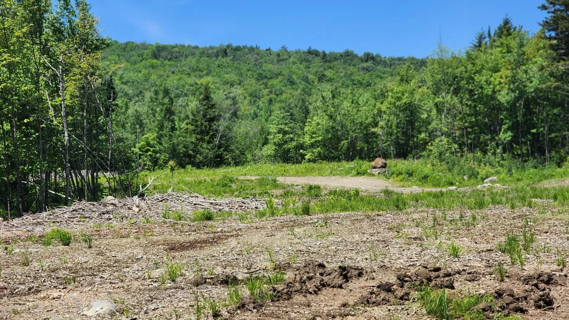 1400 Clark Mountain Road Newport Town VT 05857