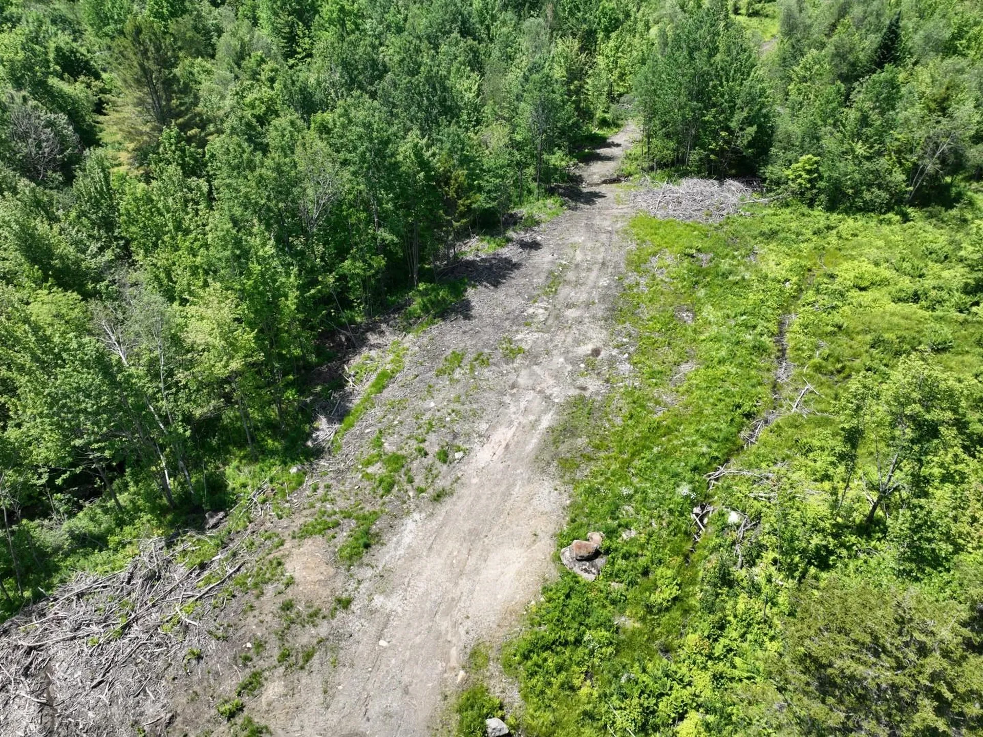 1400 Clark Mountain Road Newport Town VT 05857