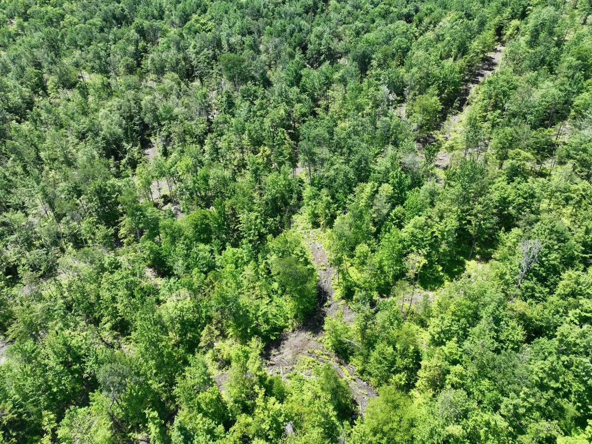 1400 Clark Mountain Road Newport Town VT 05857