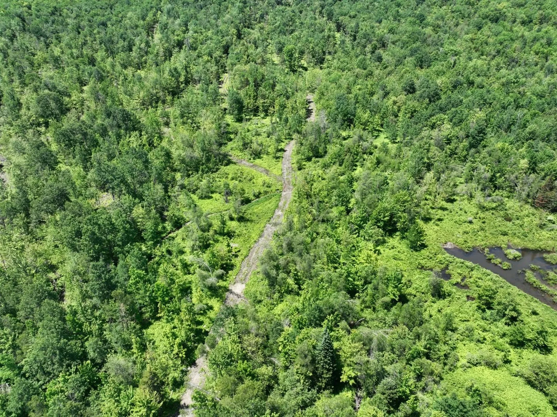 1400 Clark Mountain Road Newport Town VT 05857