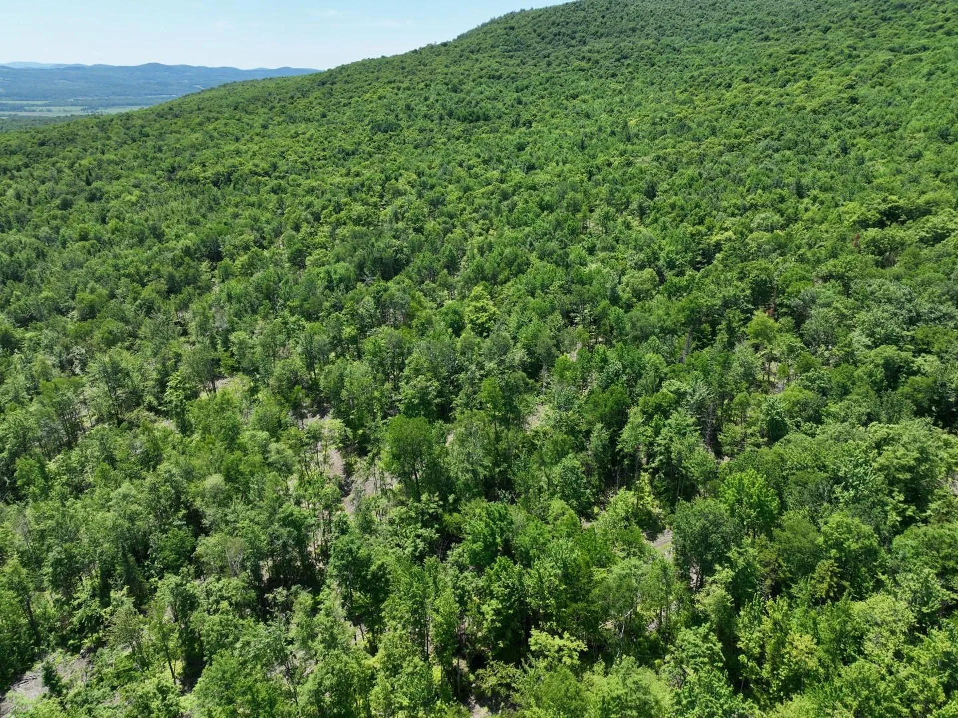 1400 Clark Mountain Road Newport Town VT 05857