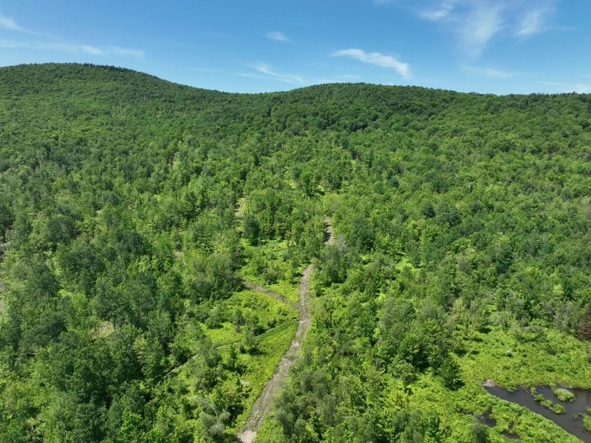 1400 Clark Mountain Road Newport Town VT 05857