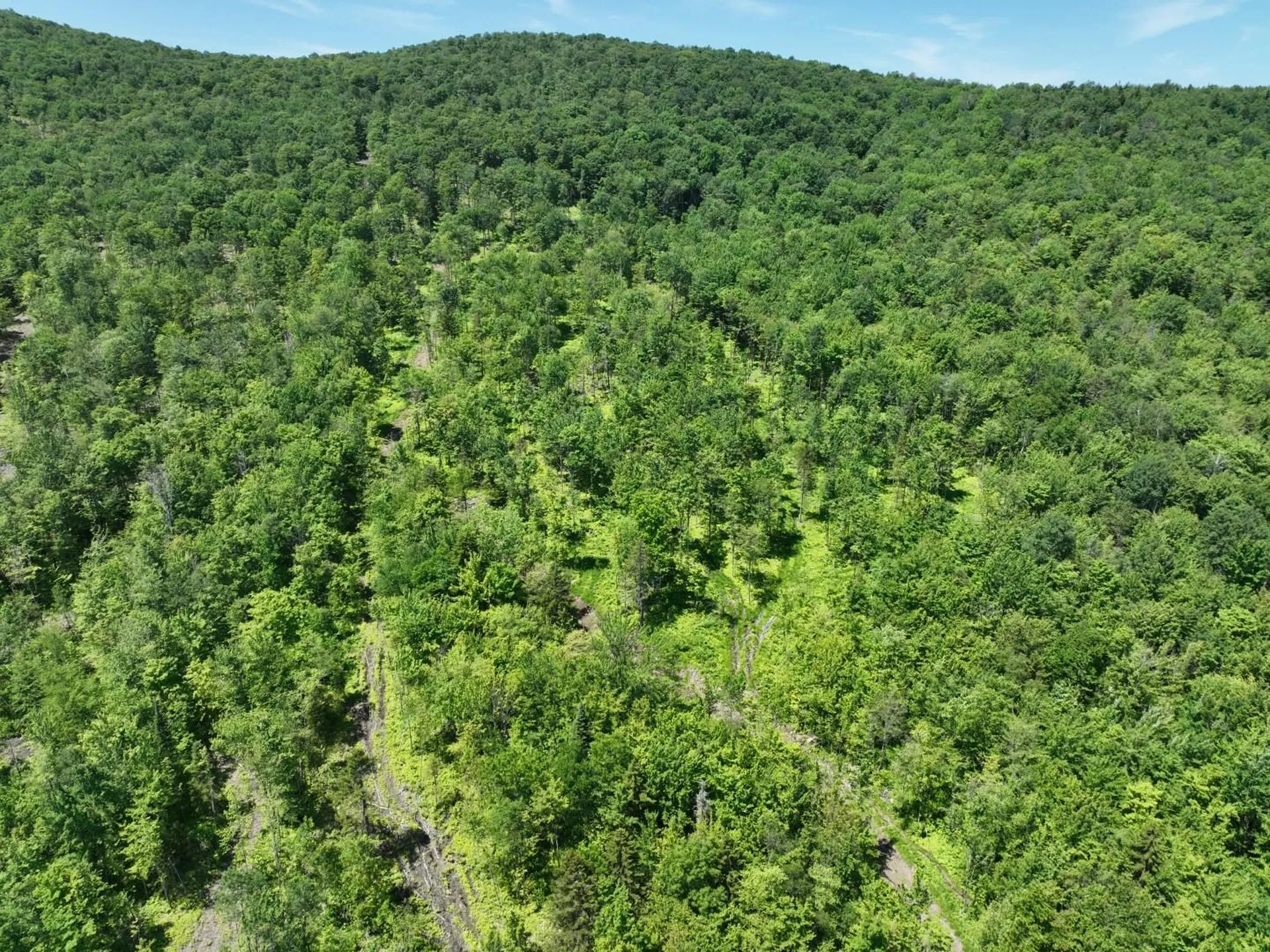 1400 Clark Mountain Road Newport Town VT 05857