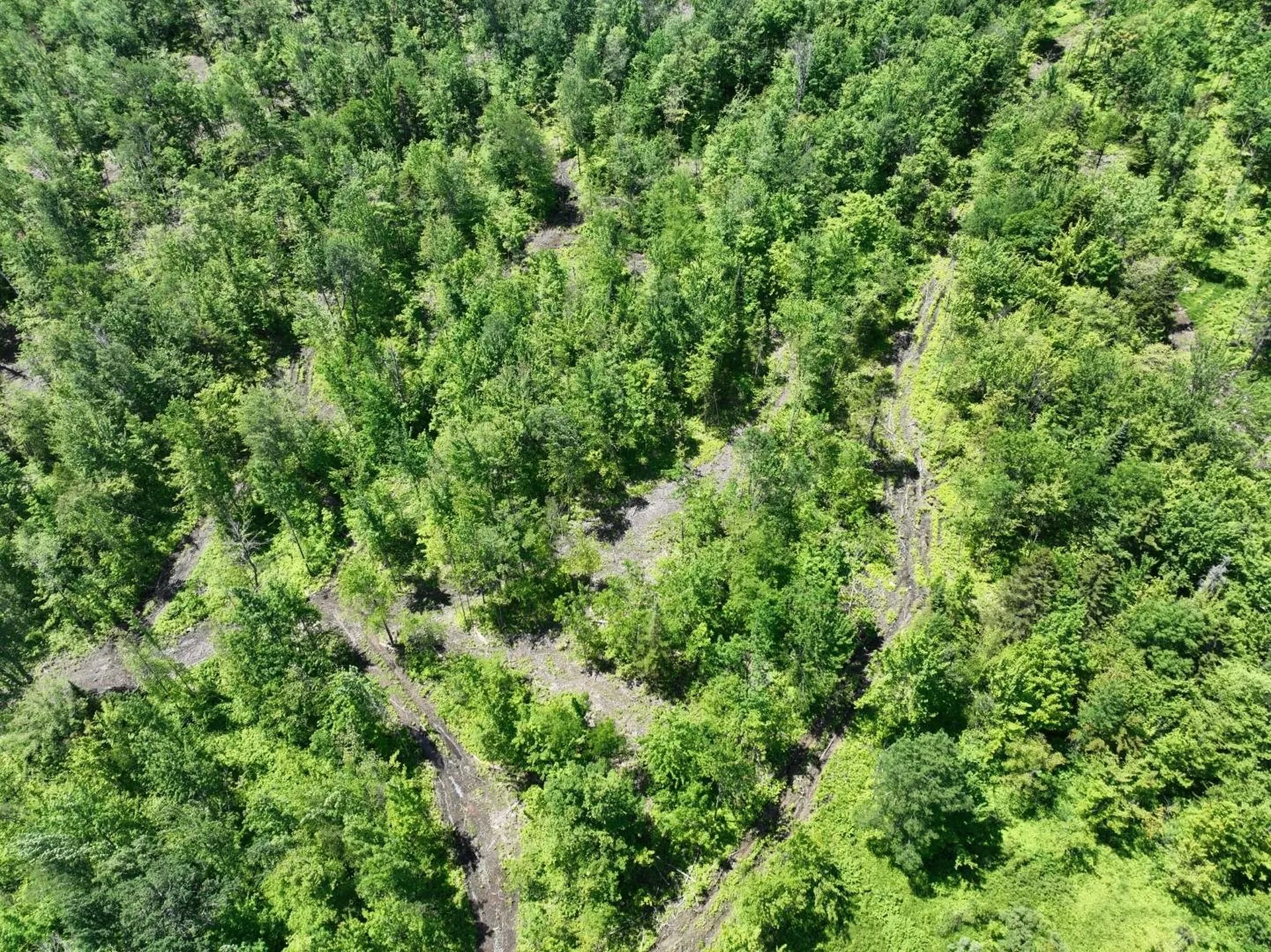 1400 Clark Mountain Road Newport Town VT 05857