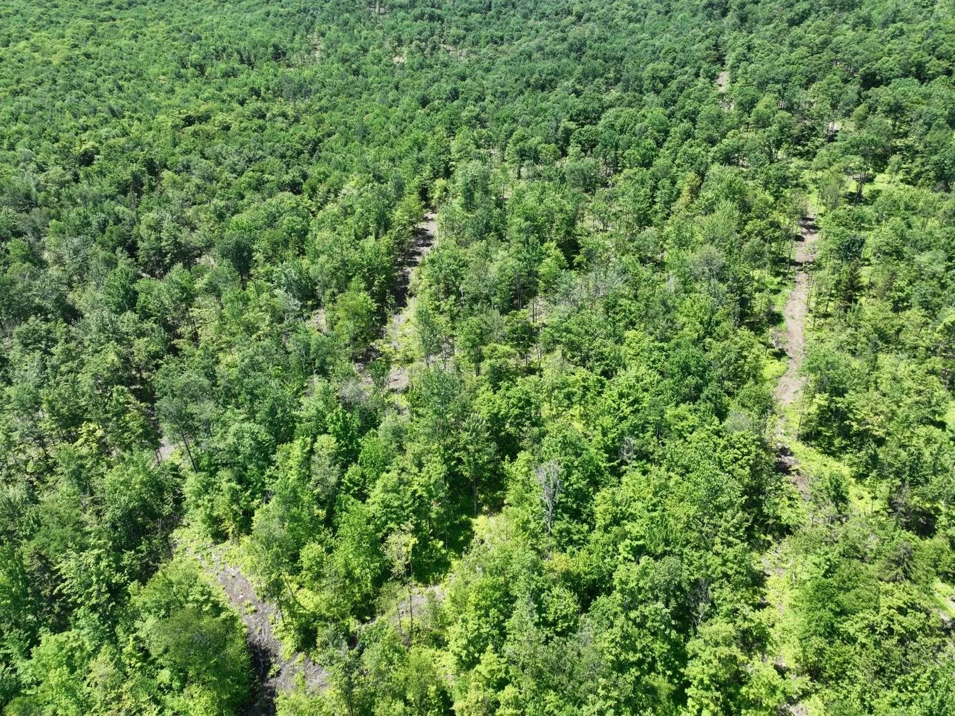 1400 Clark Mountain Road Newport Town VT 05857