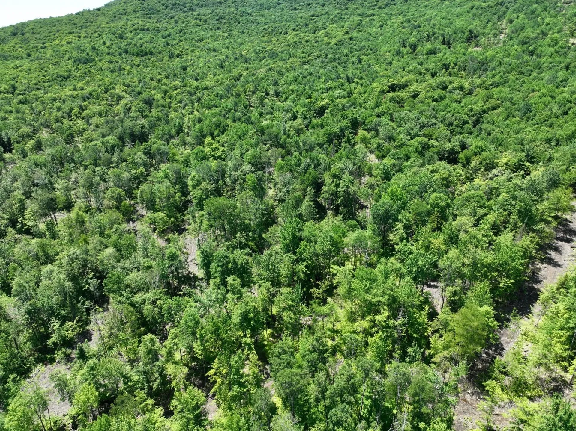 1400 Clark Mountain Road Newport Town VT 05857