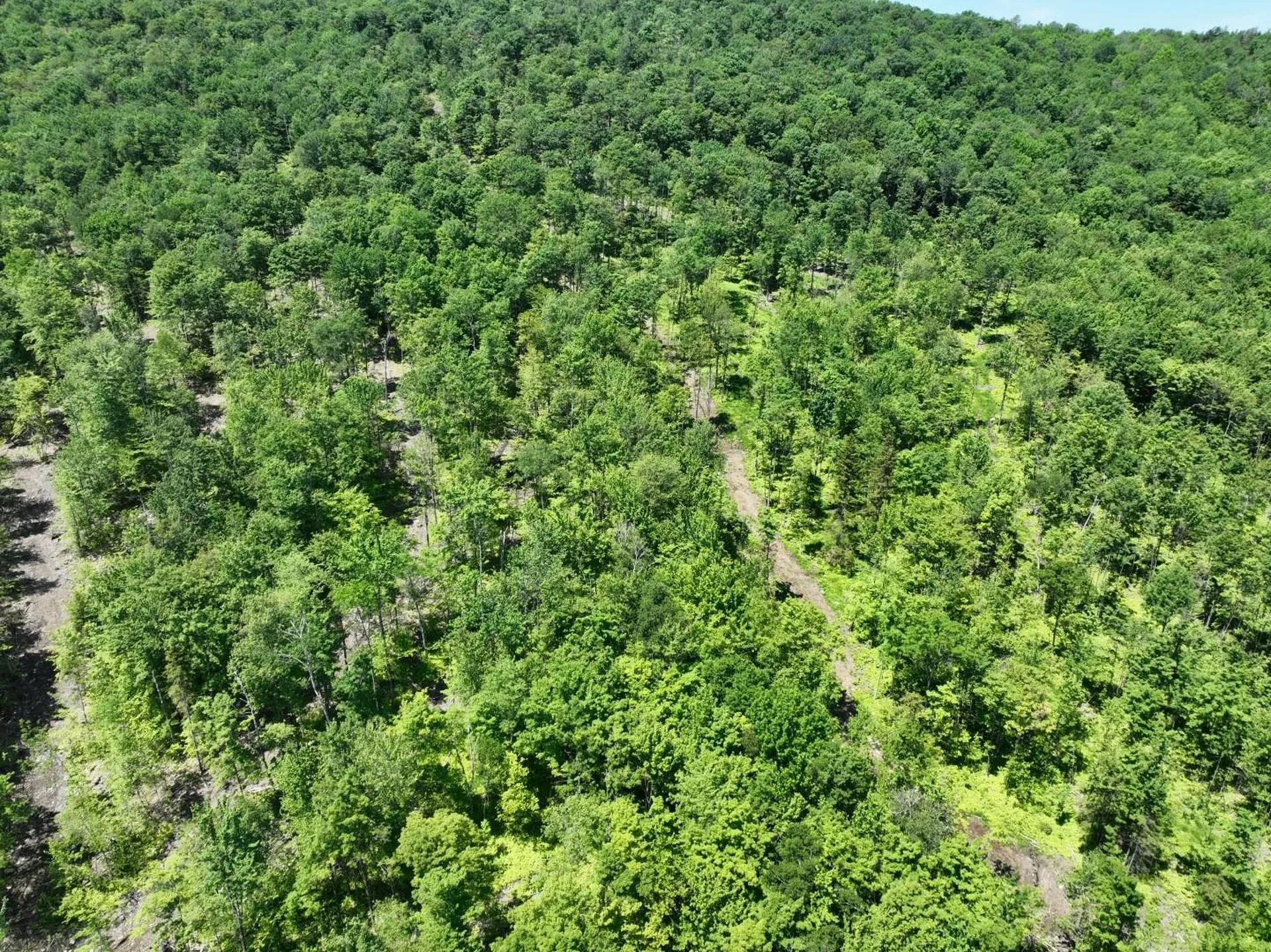 1400 Clark Mountain Road Newport Town VT 05857