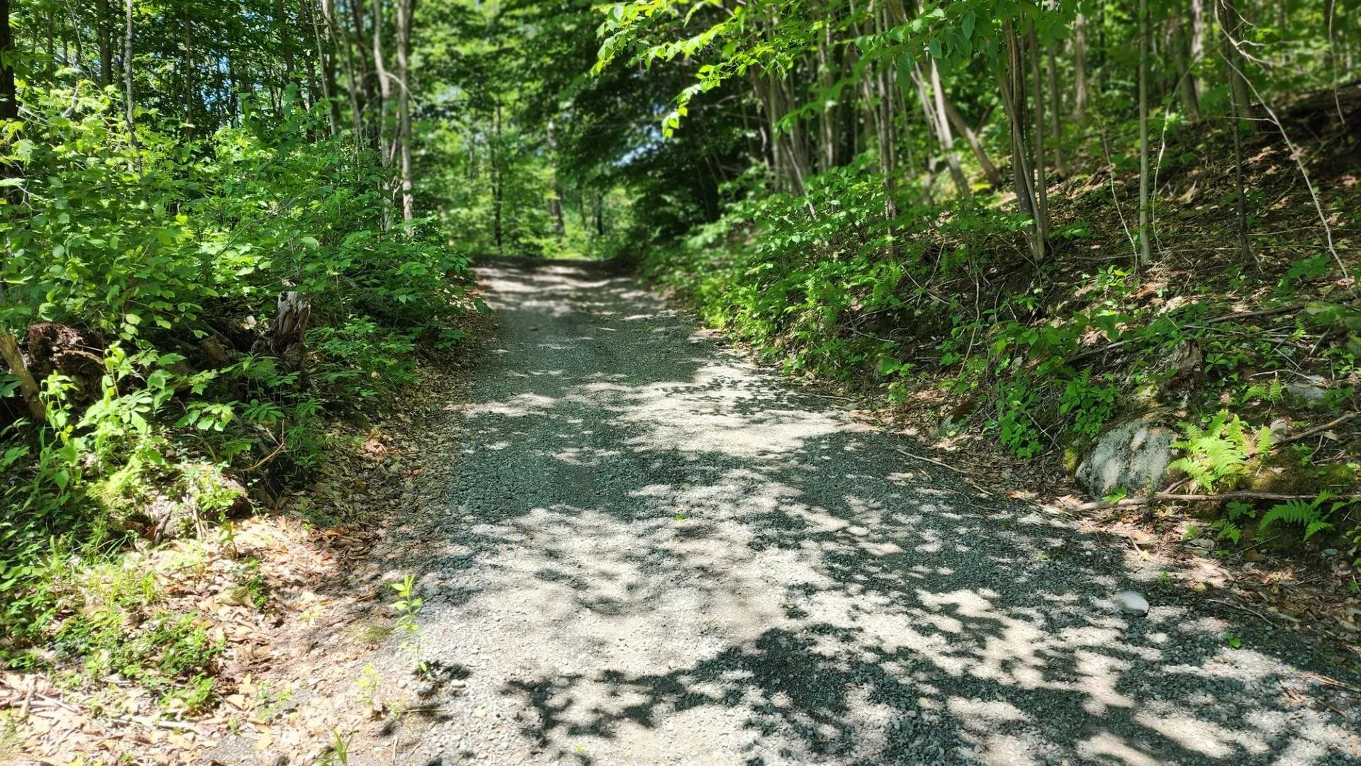 1400 Clark Mountain Road Newport Town VT 05857