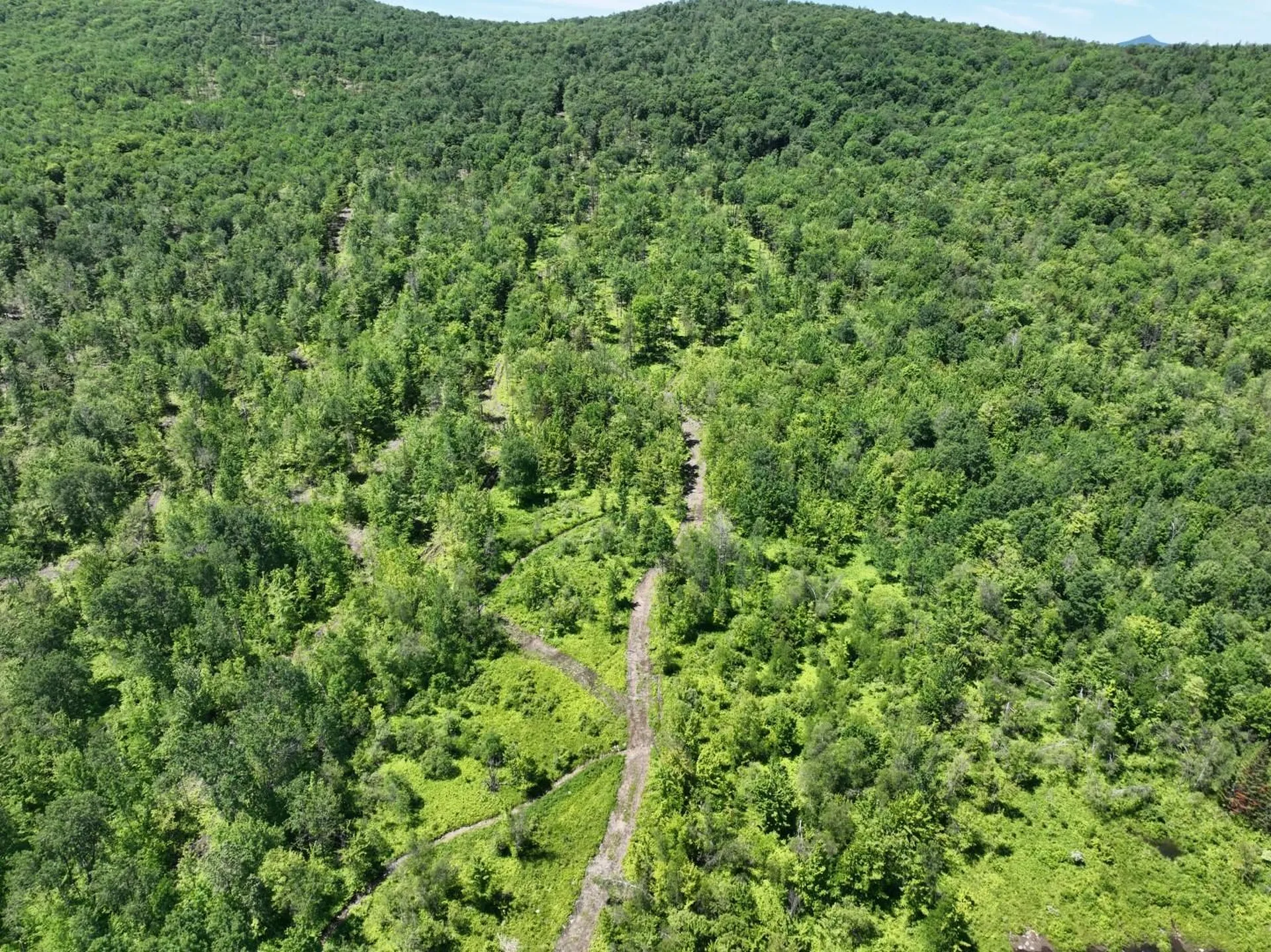 1400 Clark Mountain Road Newport Town VT 05857