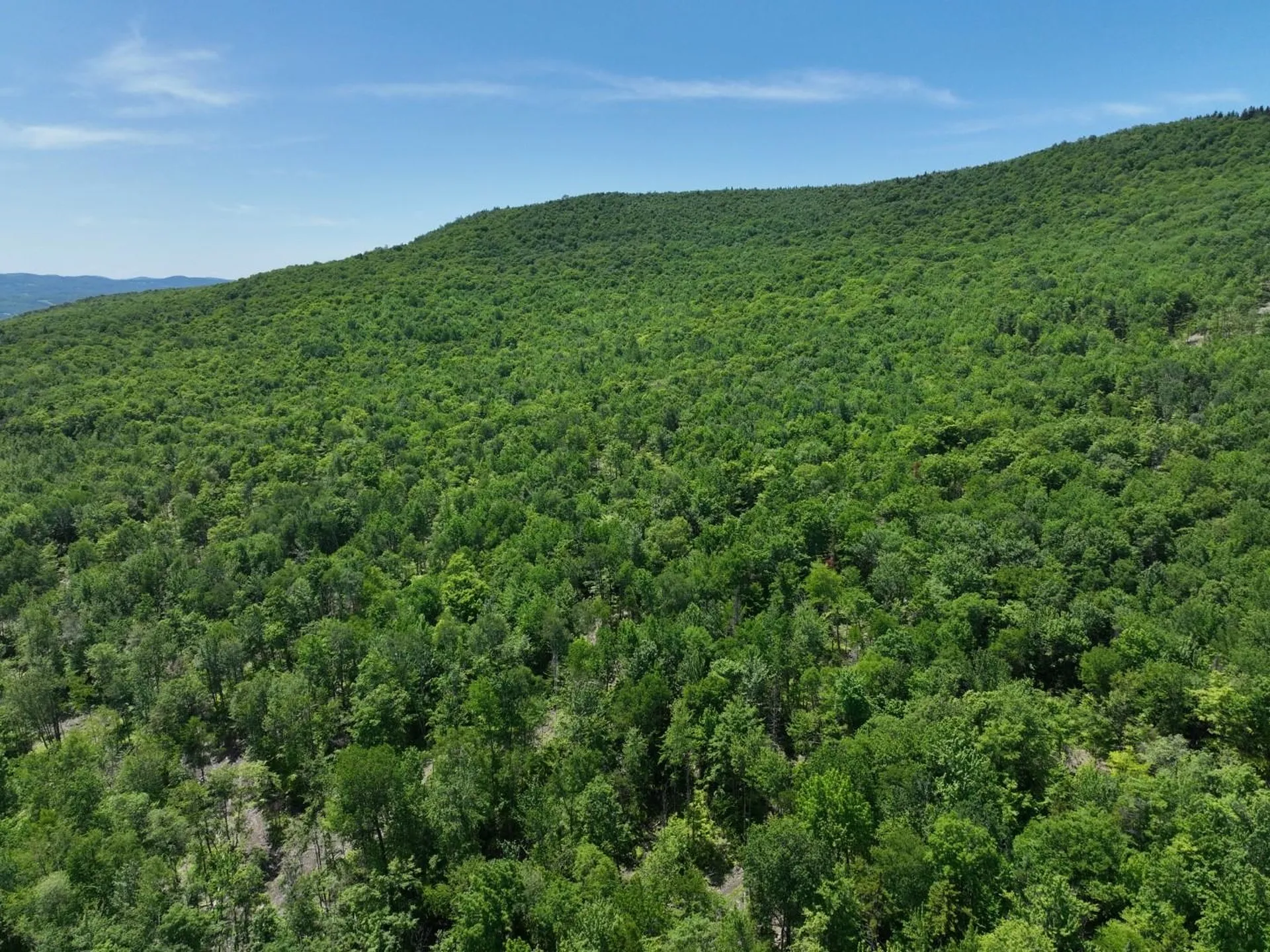 1400 Clark Mountain Road Newport Town VT 05857