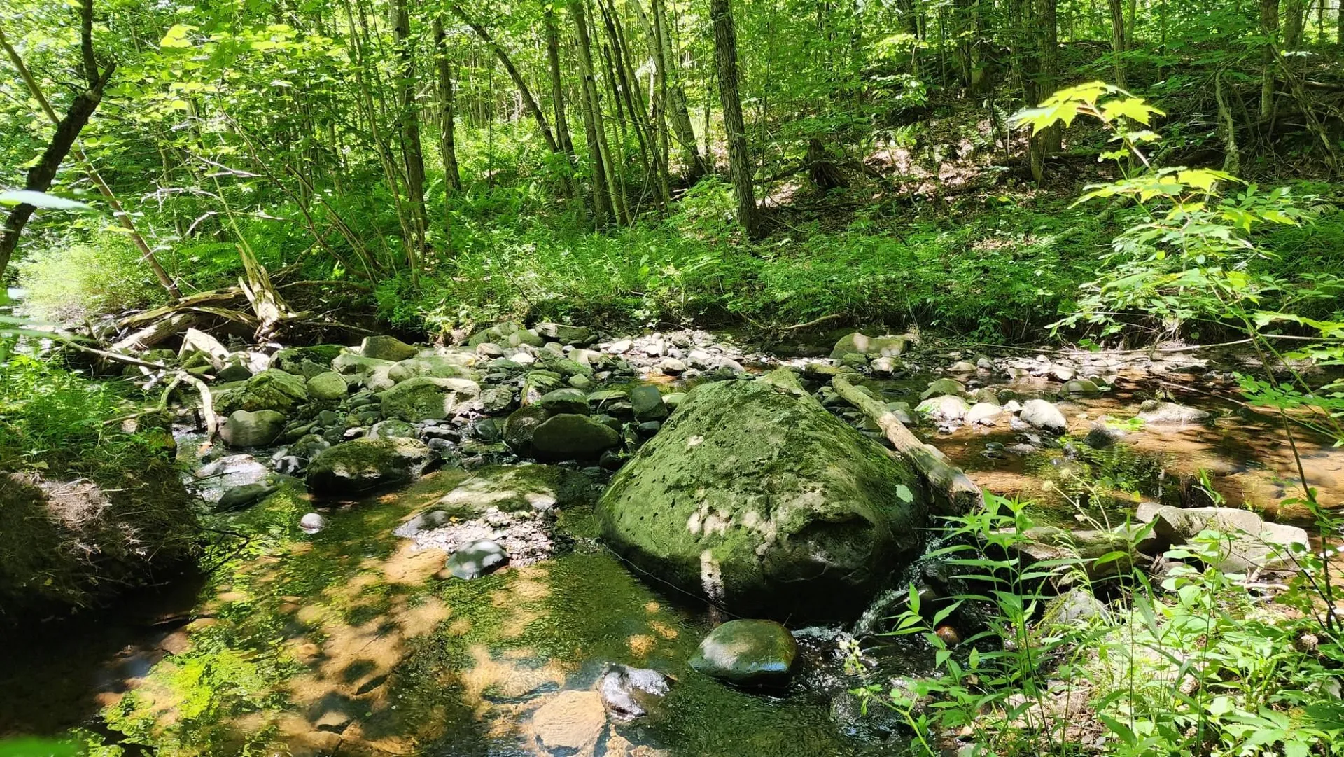 1400 Clark Mountain Road Newport Town VT 05857