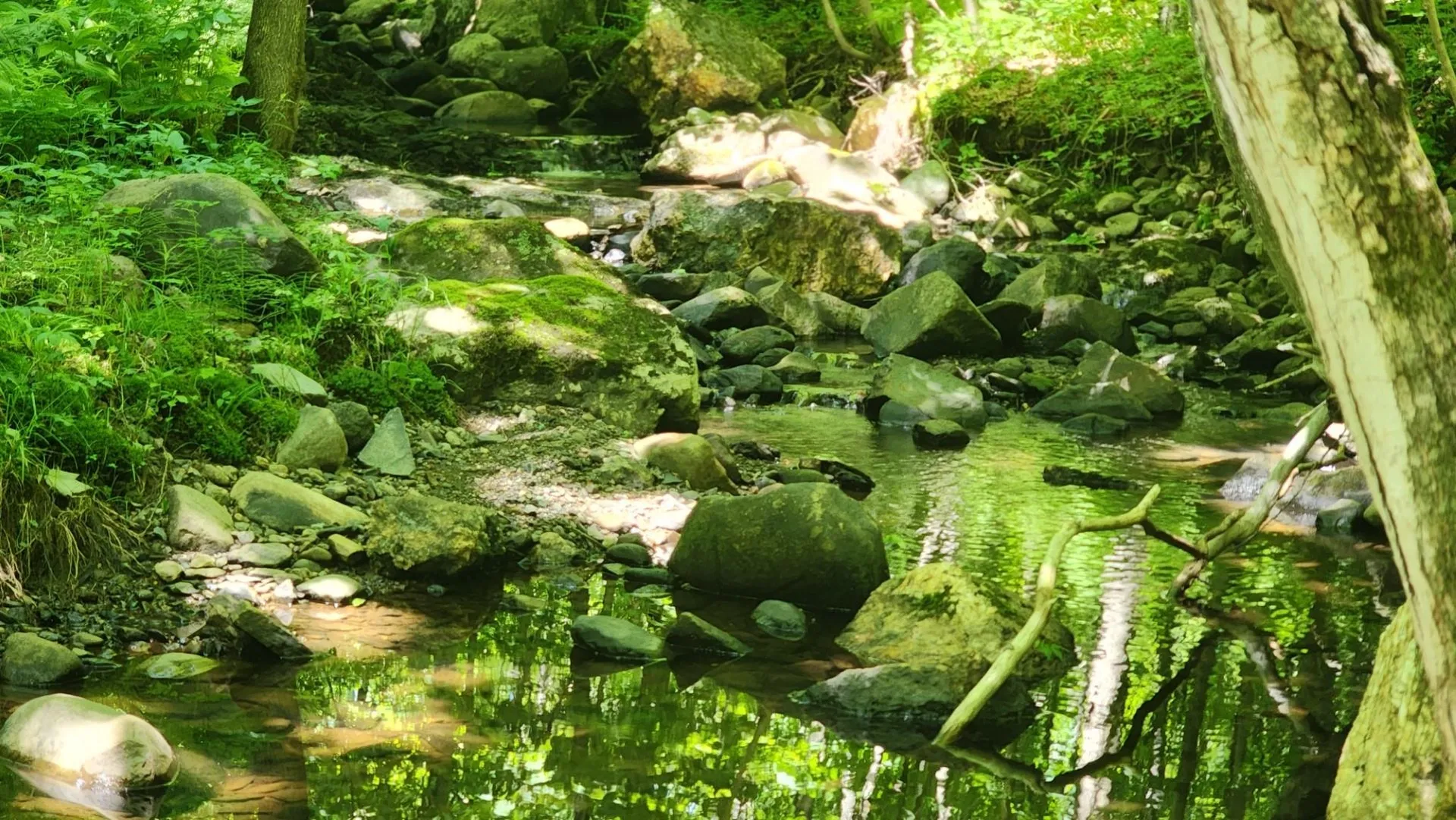 1400 Clark Mountain Road Newport Town VT 05857