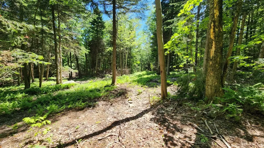 0 Route 242 Jay VT 05859