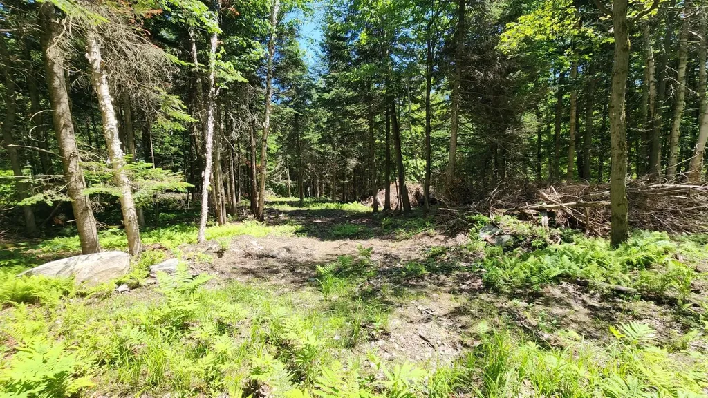 0 Route 242 Jay VT 05859