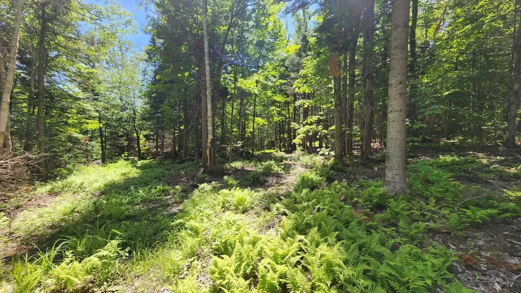 0 Route 242 Jay VT 05859