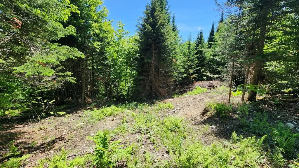 0 Route 242 Jay VT 05859