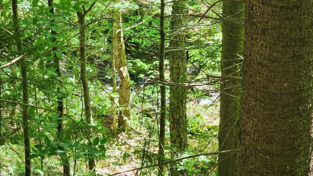 0 Route 242 Jay VT 05859