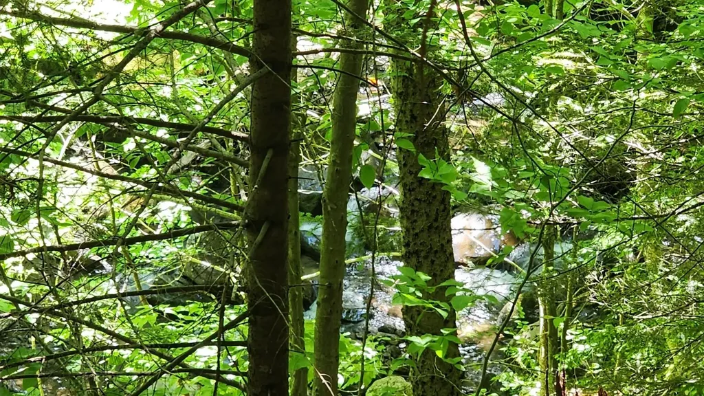 0 Route 242 Jay VT 05859