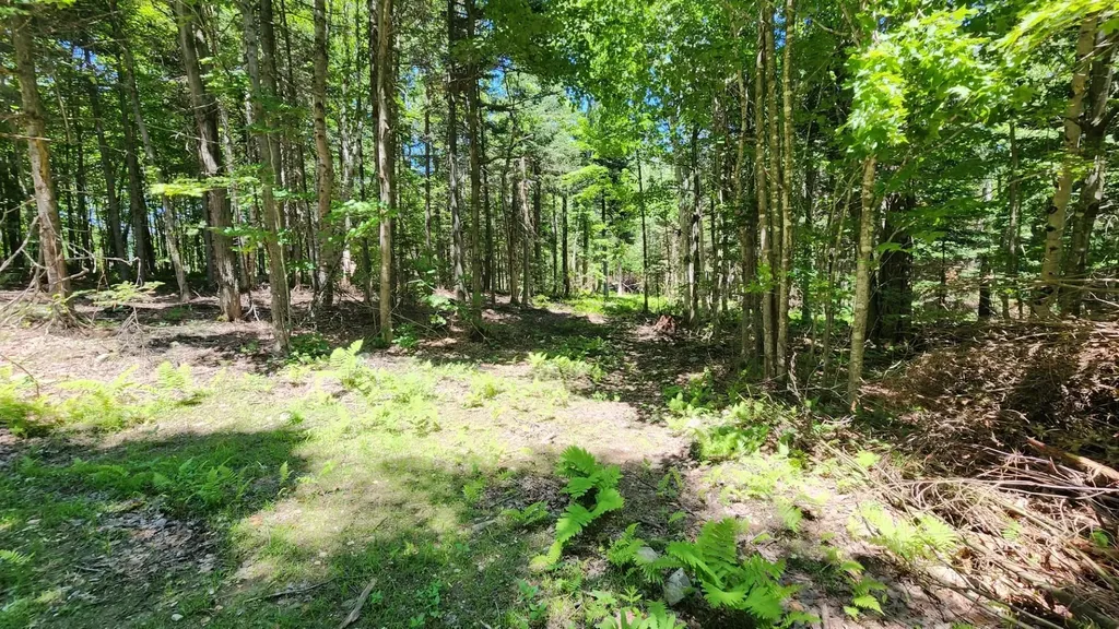 0 Route 242 Jay VT 05859