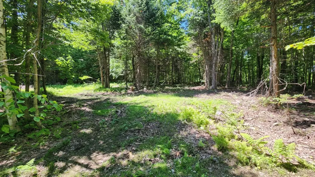 0 Route 242 Jay VT 05859