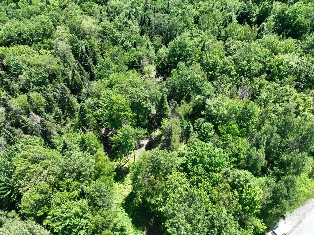 0 Route 242 Jay VT 05859