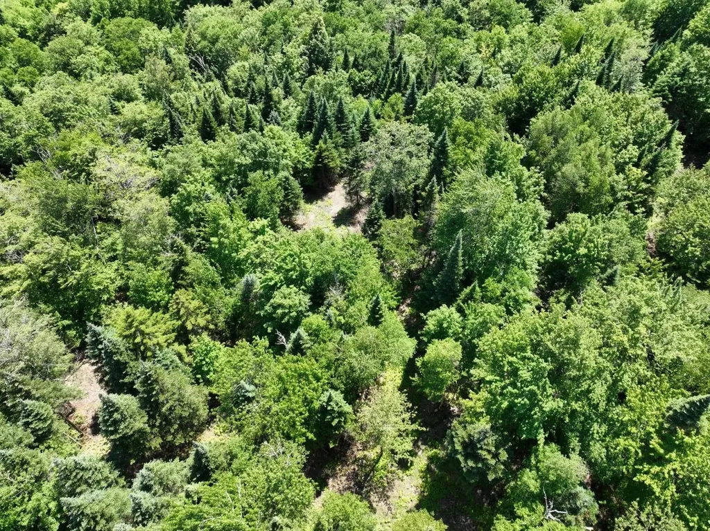 0 Route 242 Jay VT 05859