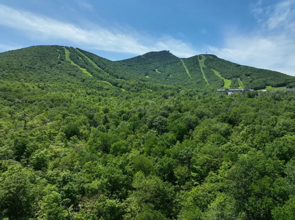 0 Route 242 Jay VT 05859