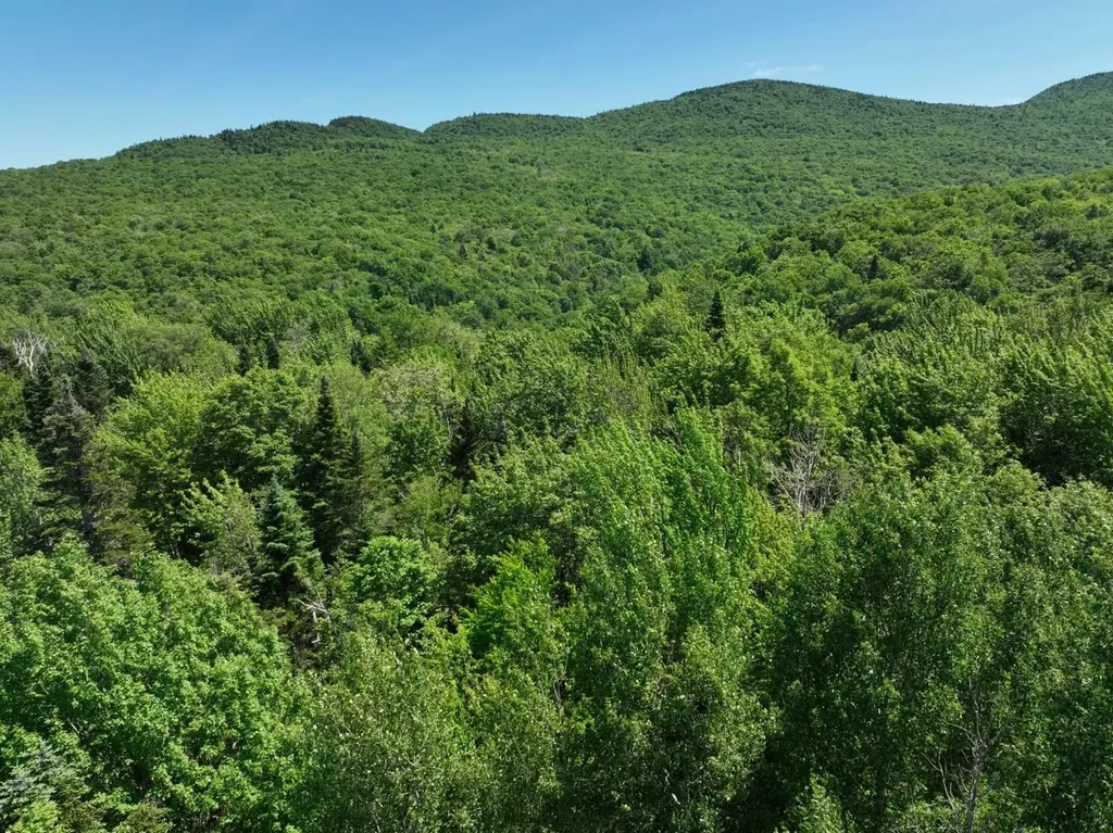 0 Route 242 Jay VT 05859