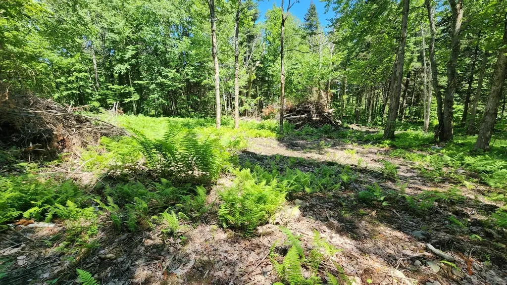 0 Route 242 Jay VT 05859