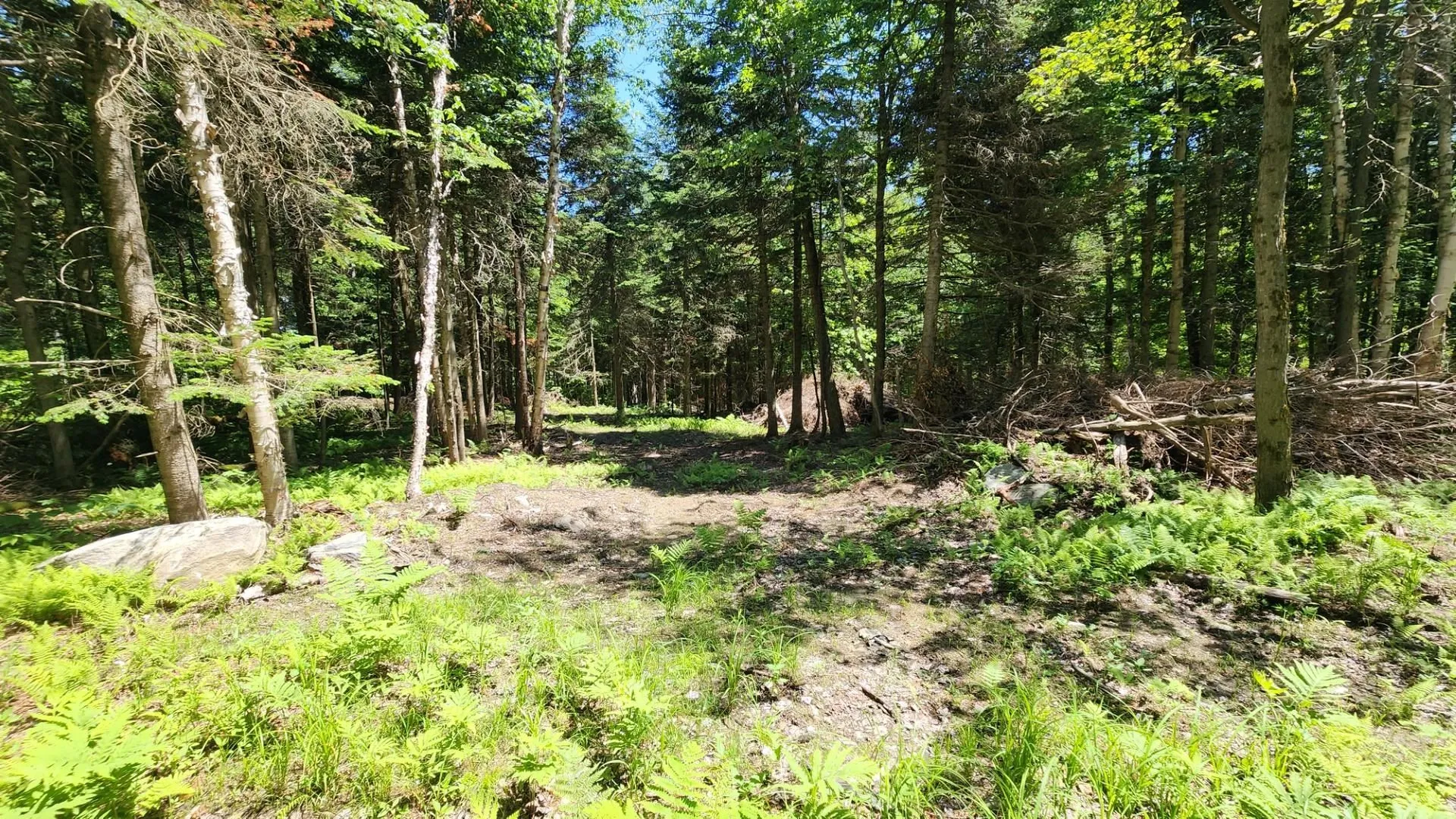 0 Route 242 Jay VT 05859