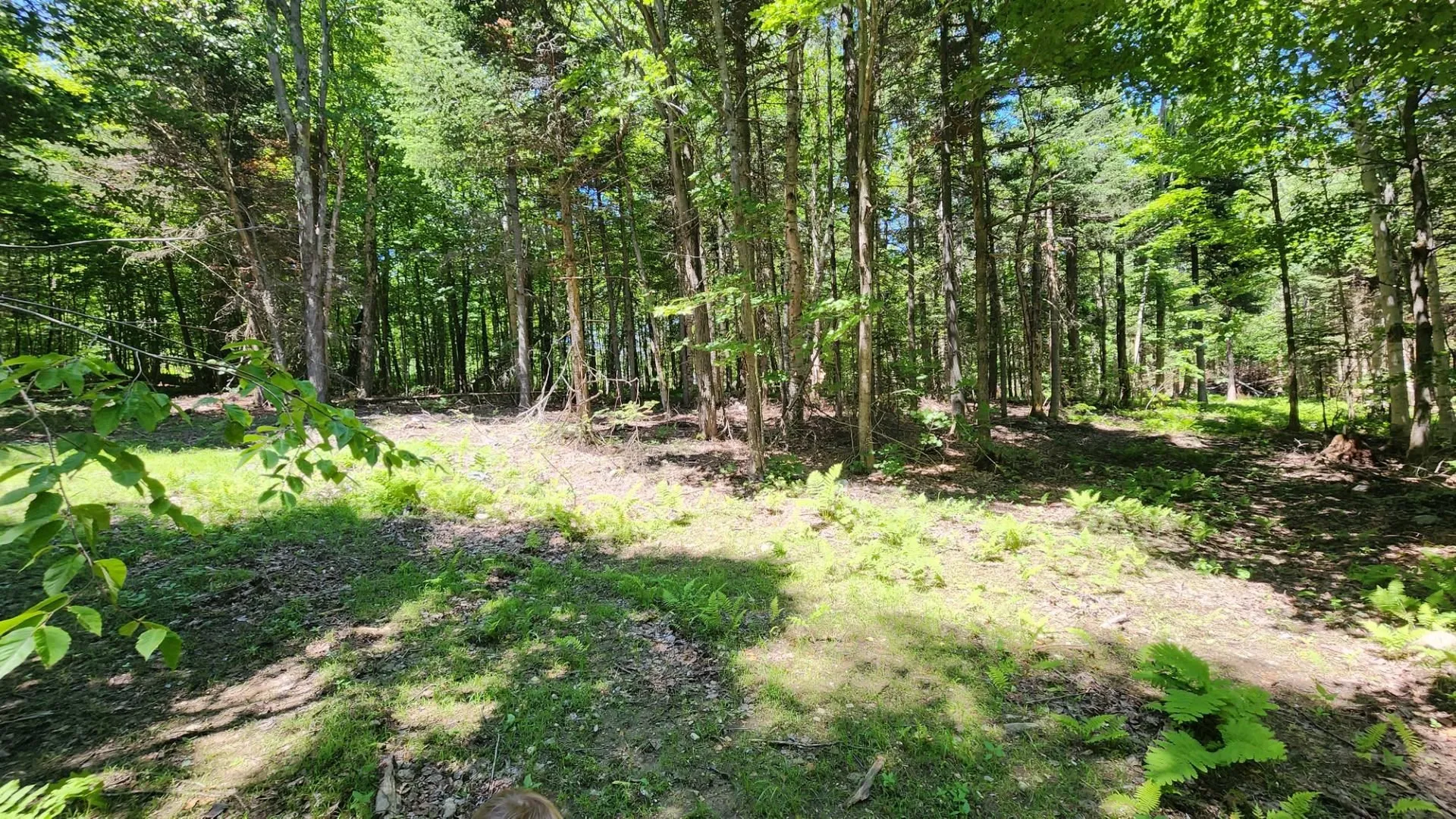 0 Route 242 Jay VT 05859