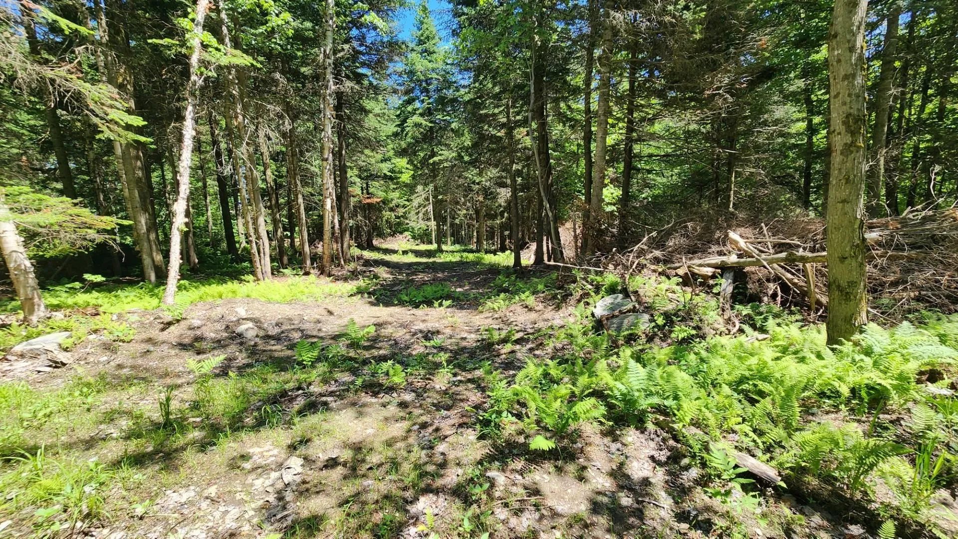 0 Route 242 Jay VT 05859