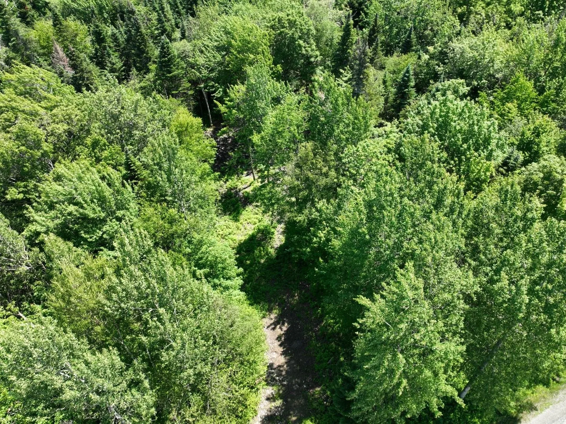 0 Route 242 Jay VT 05859