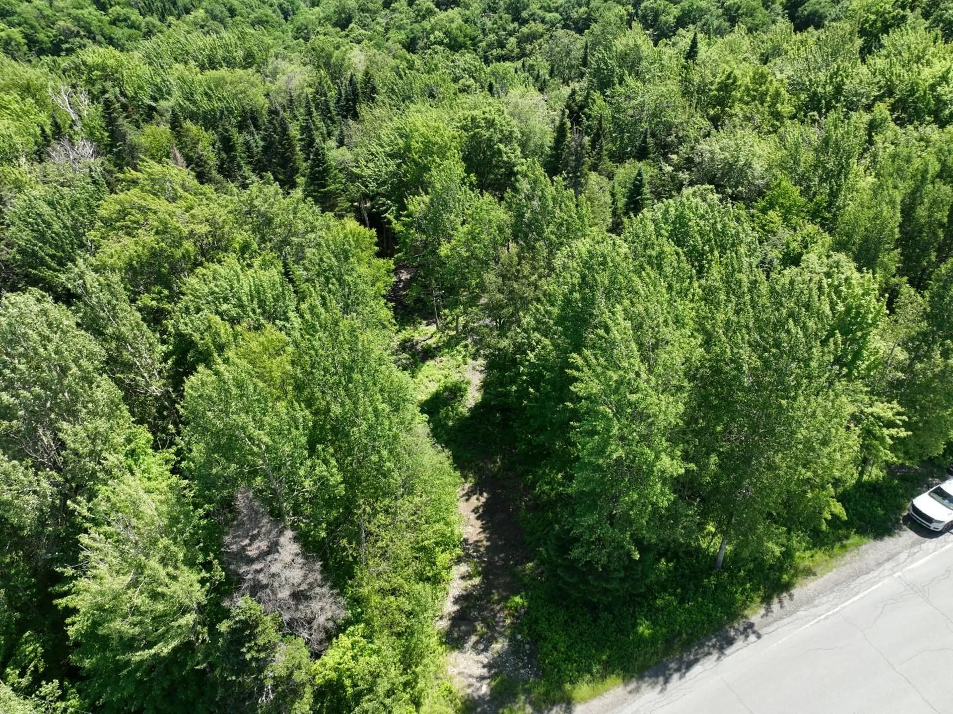 0 Route 242 Jay VT 05859