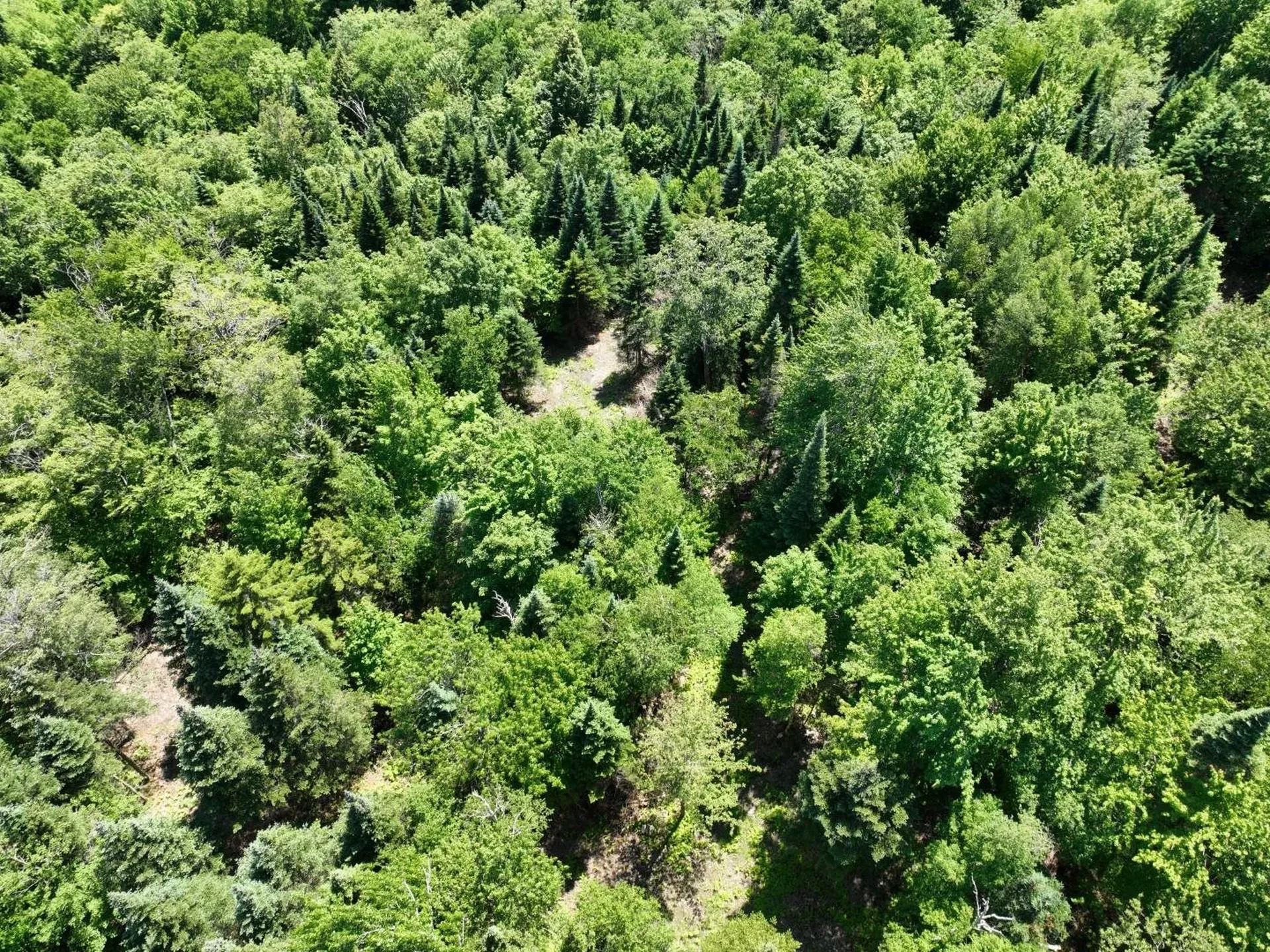 0 Route 242 Jay VT 05859