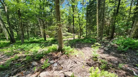 0 Route 242 Jay VT 05859