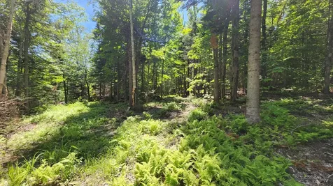 0 Route 242 Jay VT 05859